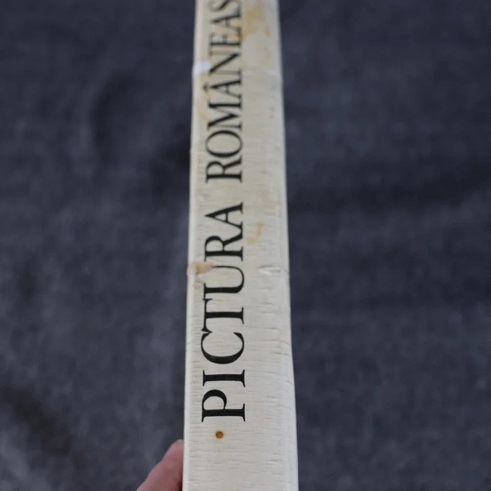 Vintage Pictura Românească În Imagini Drăguț Florea 1976 Romania Art Book HC DJ